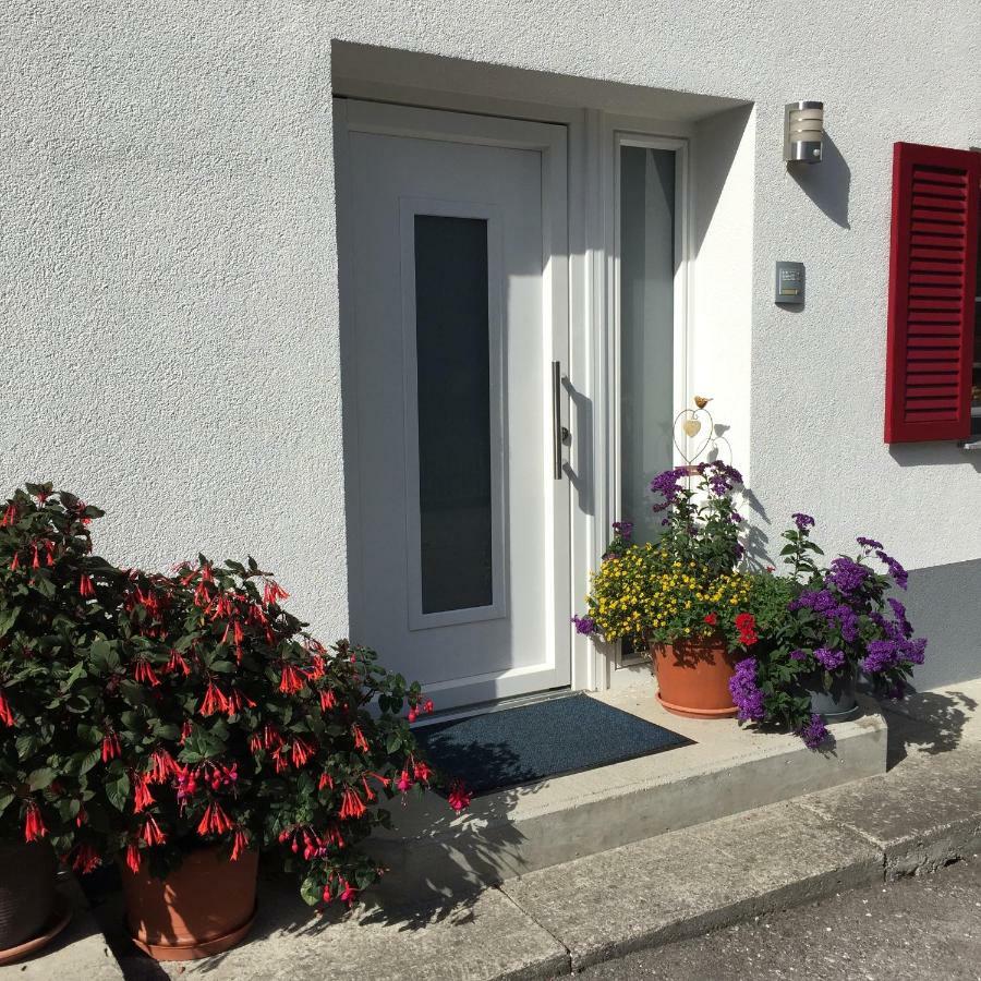 Ferienwohnungen Haus Bergflora Bach  Exteriér fotografie